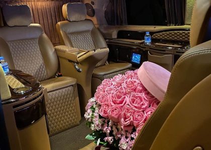 Vip vito